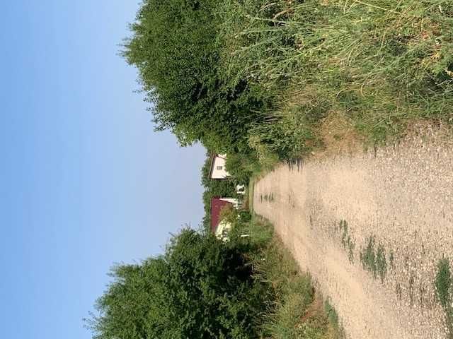 Teren 1000 mp  intravilan Tancabesti Snagov