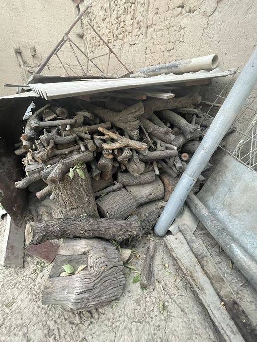 Утин куриган 70-100см