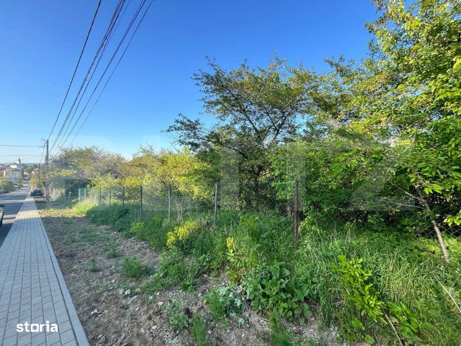 Teren intravilan ,cu vegetatie, 2700 mp, zona Siret
