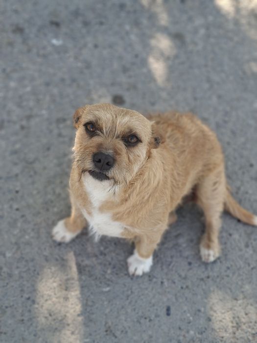 Кнопочка для семьи