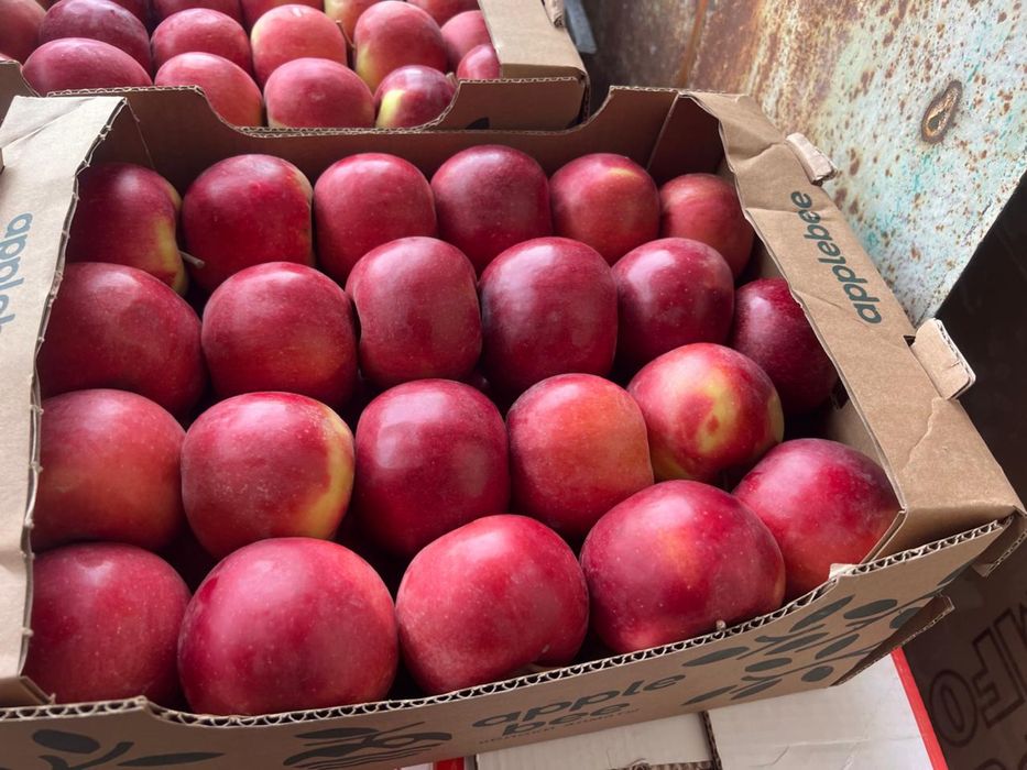 Яблоки с Тургена