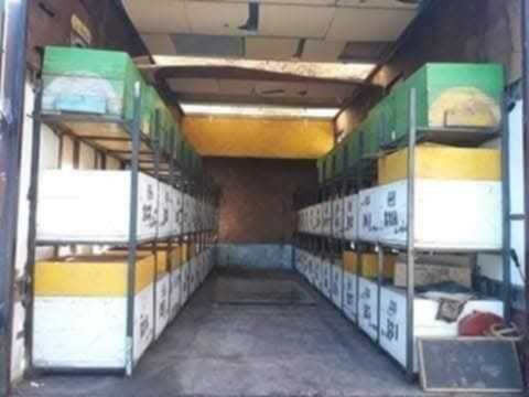 Camion apicol stupii