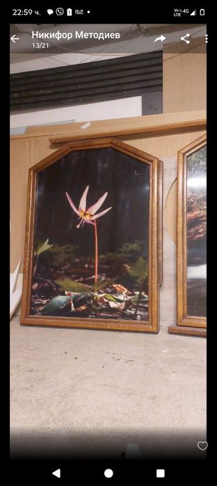 Картини 2 бр налични