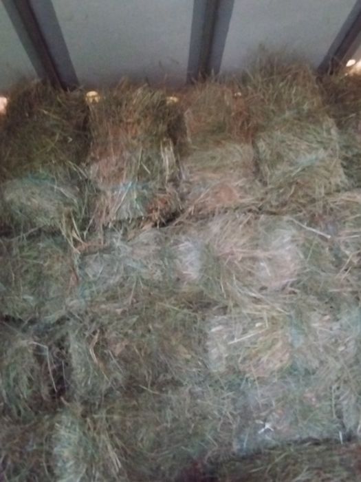 Baloti de fan TRANSPORT