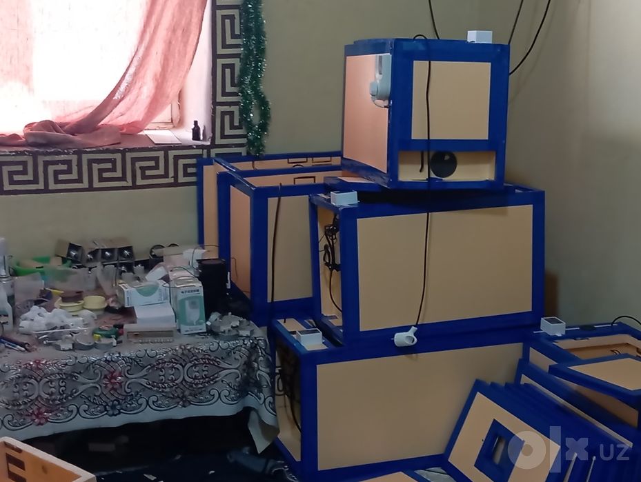 Inkubator zakasga 50 talik