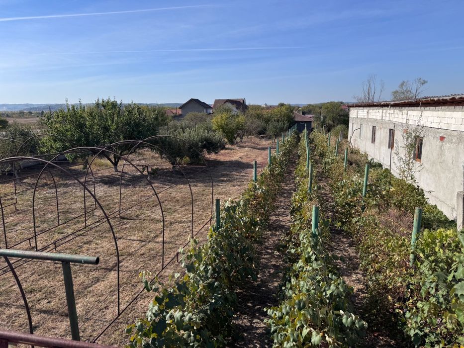 Casă de vânzare în Câlnic, Gorj - 18 km de Târgu Jiu