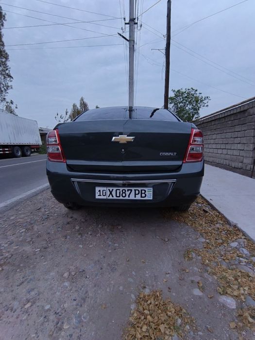 Cobolt LTZ 2023 yil 4 pozitsia