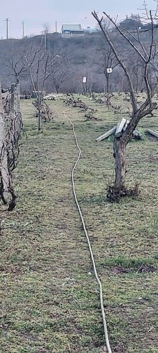 Vând casă plus teren in comuna Urechești jud Vrancea