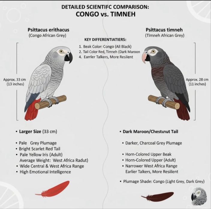 Жако 5 ёш 200+ гапи бор