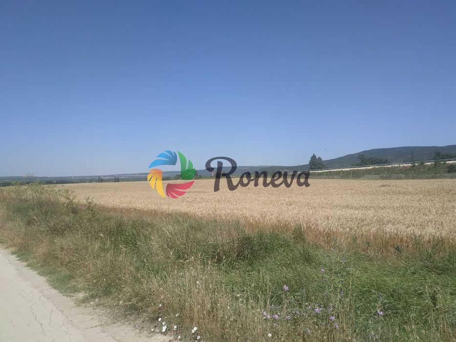 Продава се Парцел в Игнатиево - 3125 кв.м за 20 €/кв.м - Снимка #3