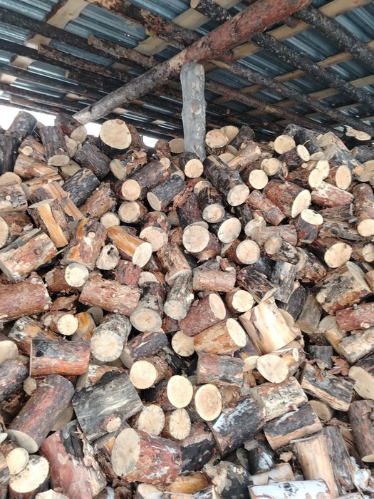 Дрова рубленные - колотые, сосна.