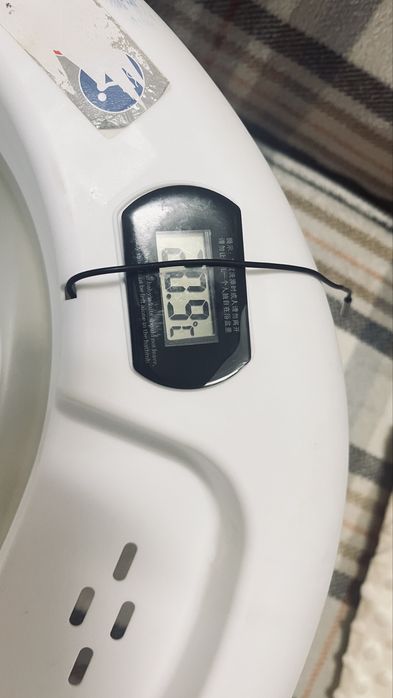 Vand  cadita pliabila si scoica auto