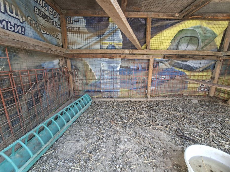 Товуқ уйчаси сотилади