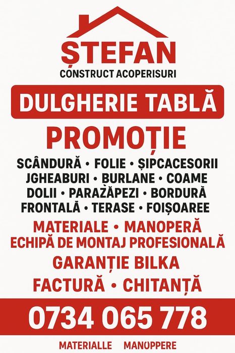 Vopsit acoperiș reparații dulgherie acoperisuri țigla metalica etc.