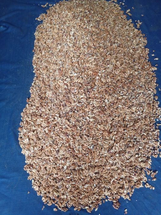 Vand miez de nuca (32lei) și nuci (5,50 lei)