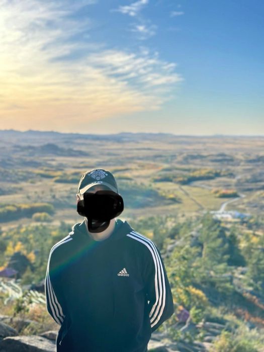 Адидас оригинал толстовка. Adidas Original