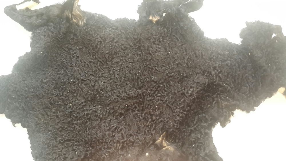 Каракуль. Мех. Шкурки.