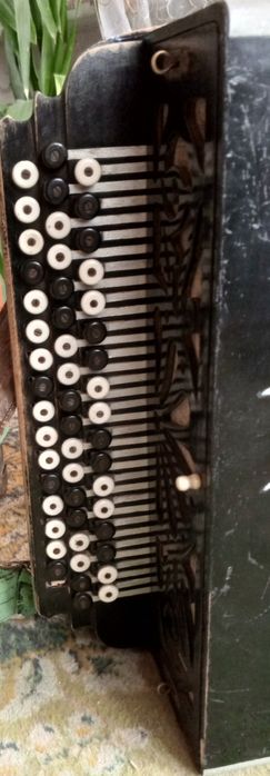 Продам боян.   .