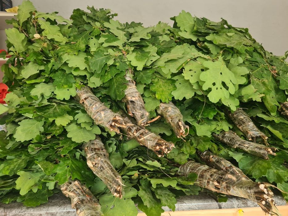 Веники  для бани