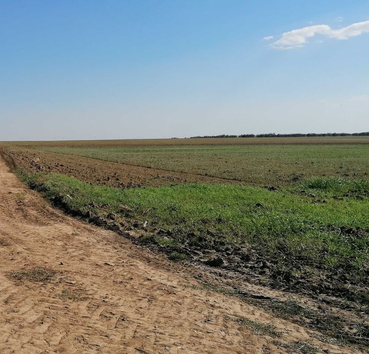 Inchiriez teren agricol 10 ha in Pantelimon (Ct)