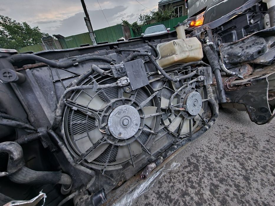 Ноускат I Морда Rx400h