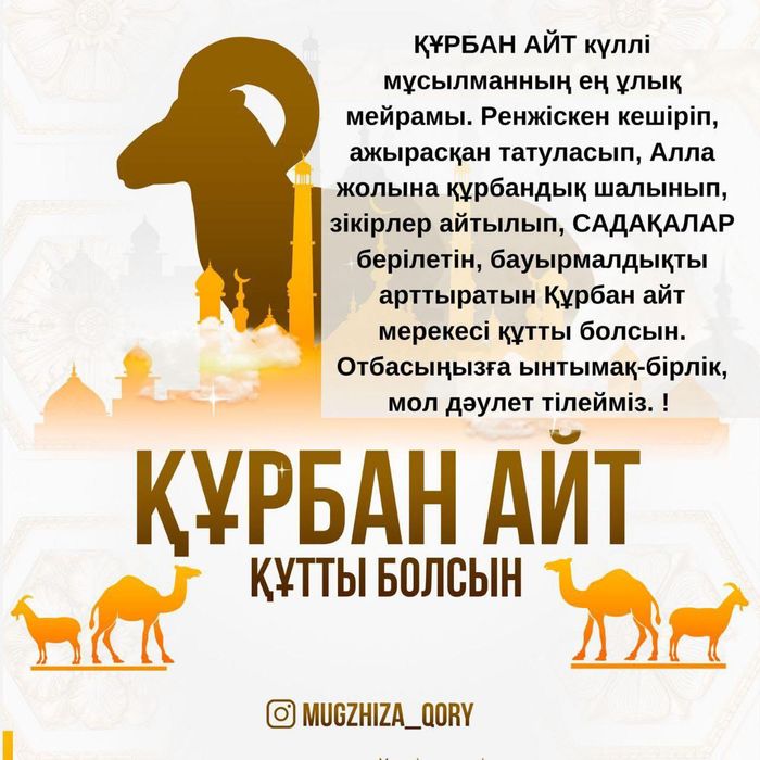 Продам баранов на айт!