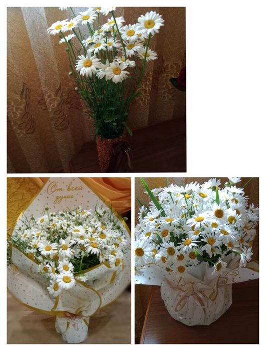 Ромашки для букета средние и для посадки ,гайлардия ,и мн др ,неприхот