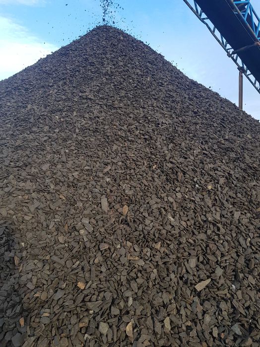 Cărbune lignit (sort).