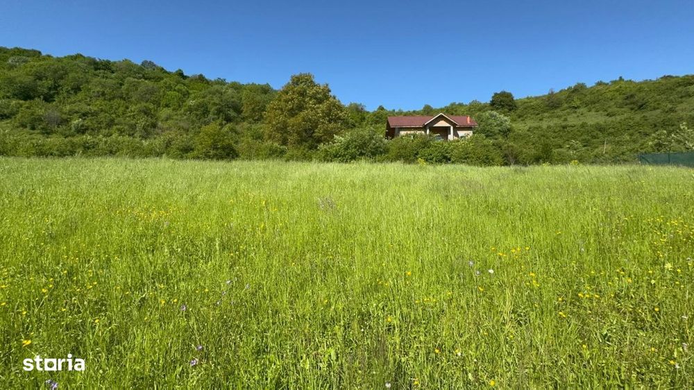 Teren de vanzare, Tauti, 2300 Mp