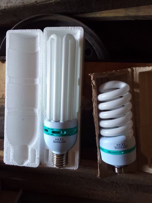 Продам лампочки не дорого