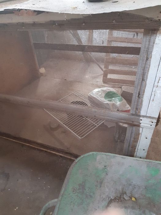 Клетки для курочек  квочек