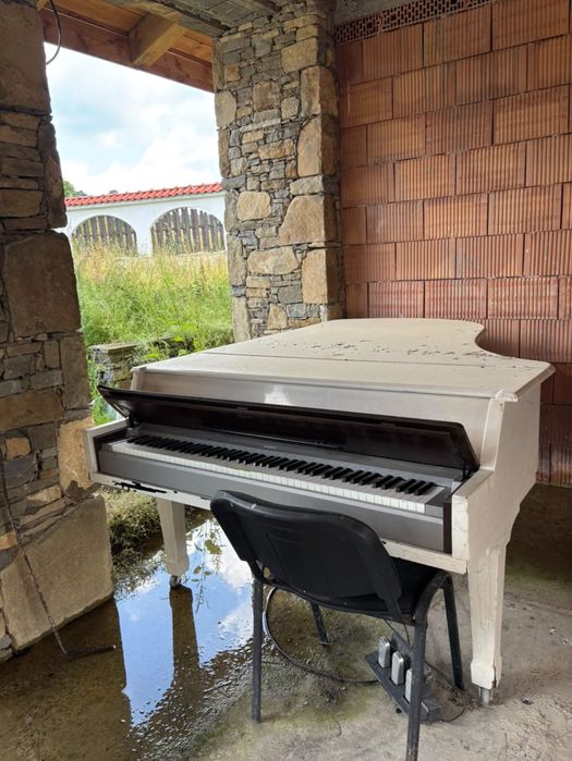 Роял Yamaha Arius