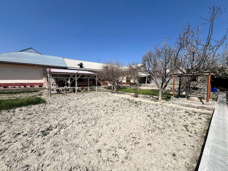 Pastargʻom jumada kichik nayman mfyda 20 sotih