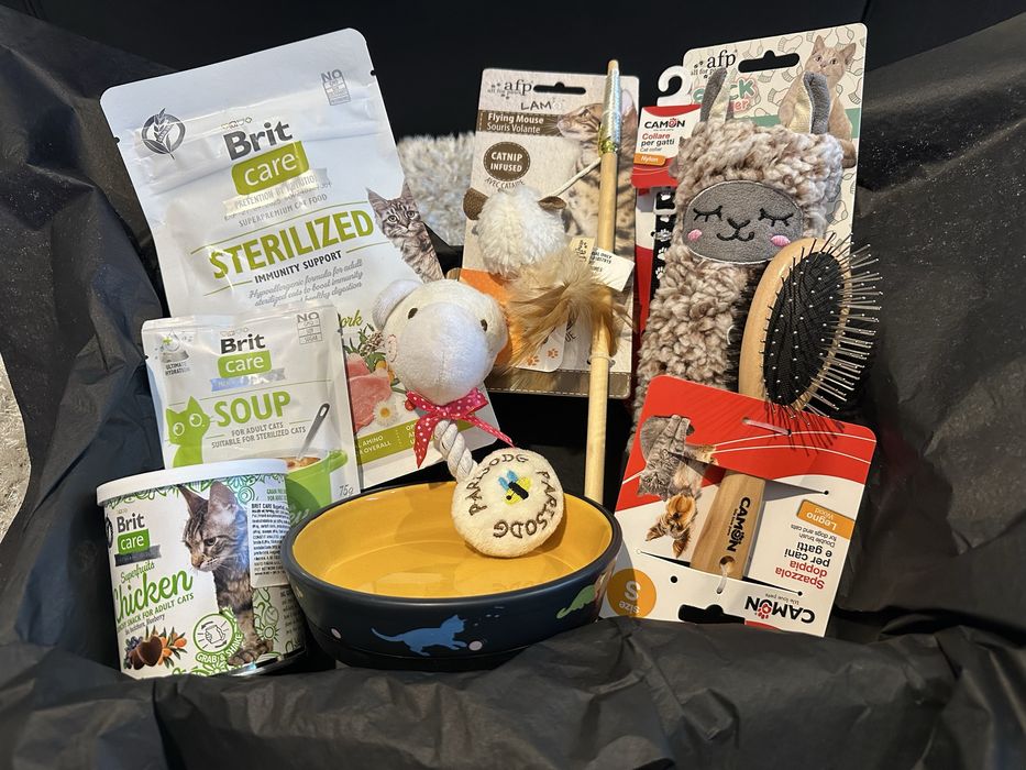 Gift box pentru animale de companie