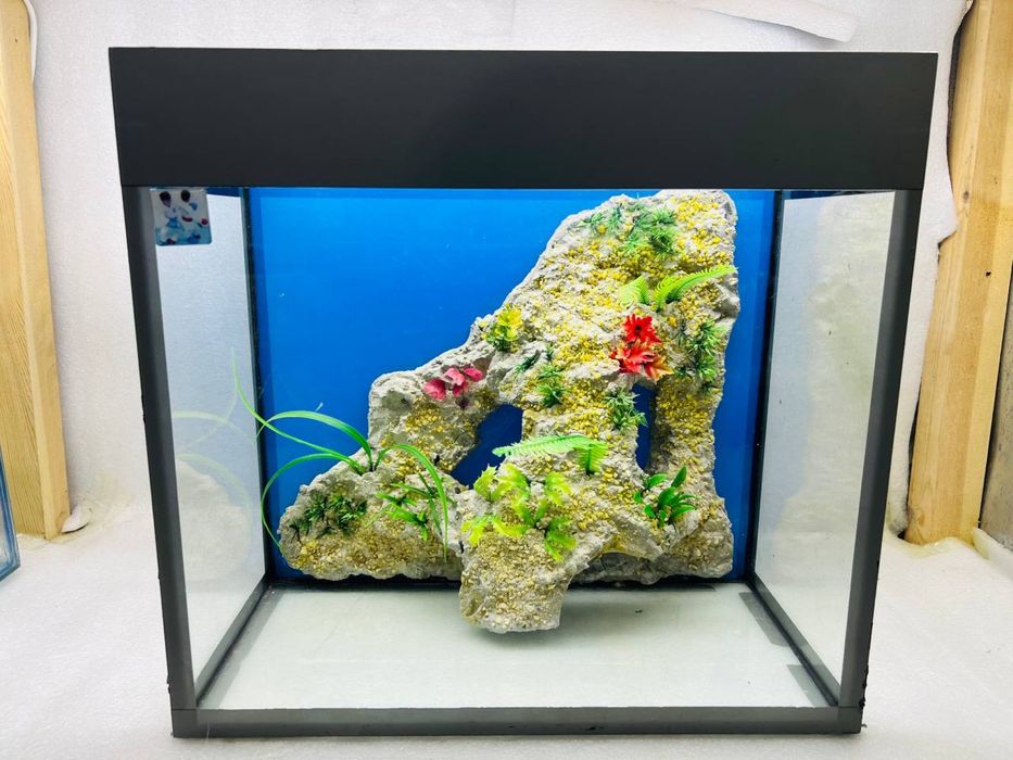 5 та Аквариум хаммаси биттада