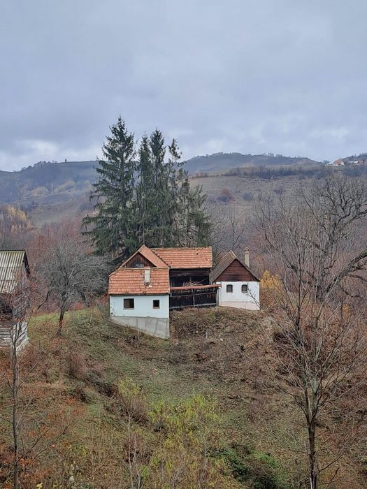 Vând teren+gospodărie