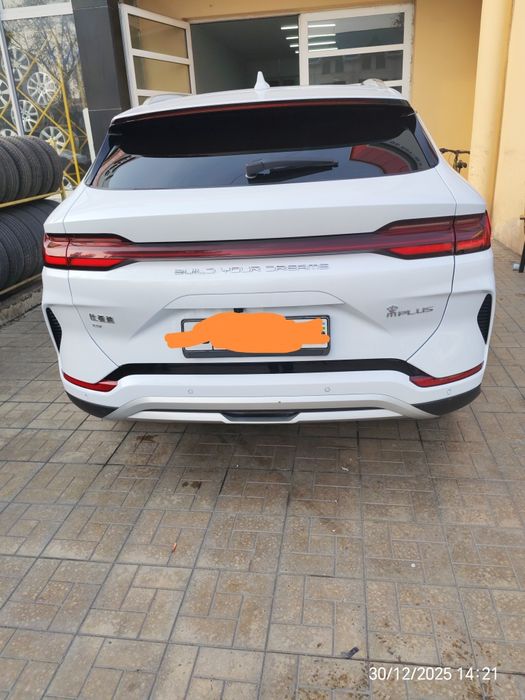 Byd song plus champion 23/24