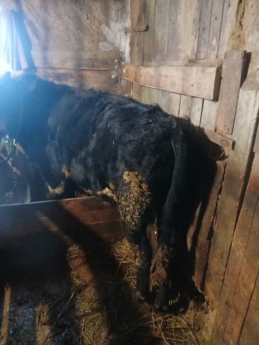 Просто так просьба не звонить