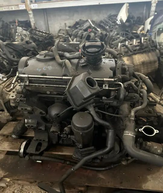 Termoflot racire ulei Volkswagen VW Golf 2002 1.9 TDI MT (101 hp)