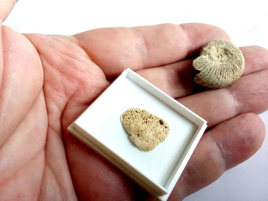 гарафи за алкохол и др