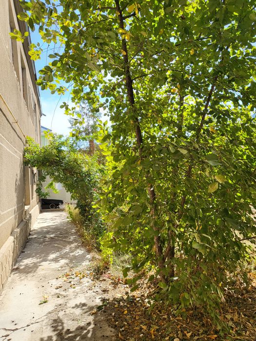 Продается Дом на (БАМе) 2 этажа