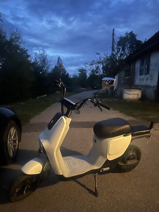 Scuter Elctirc,