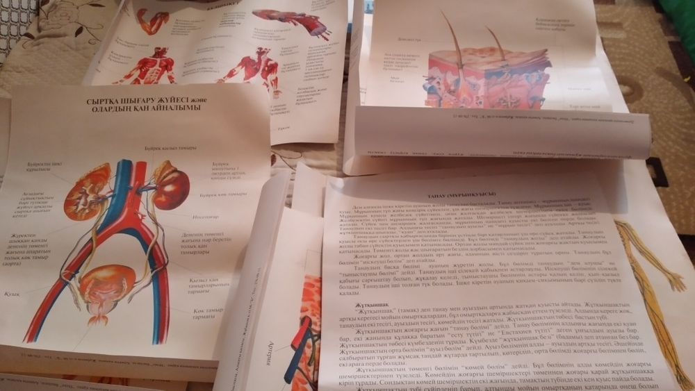 Жыныстық қатынас алдында анусты қалай жансыздандыруға болады