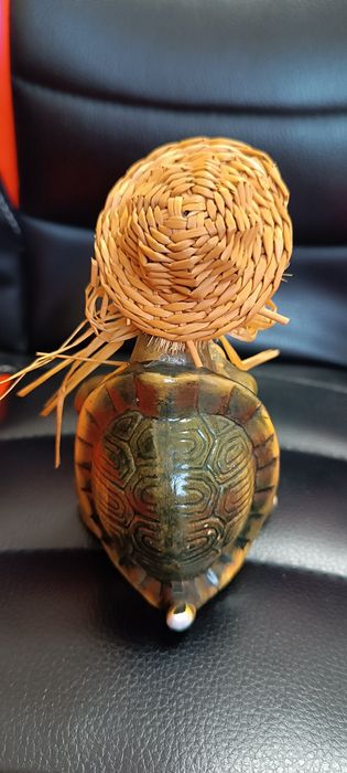 Broscuta țestoasă decoratiune