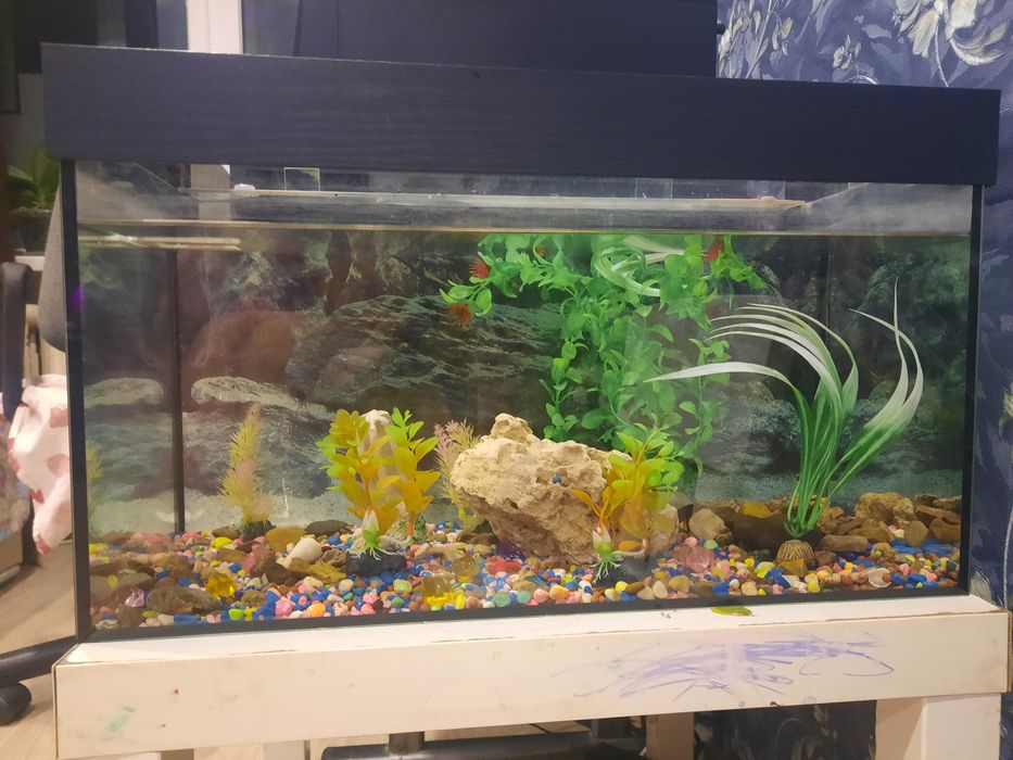 Продам аквариум.