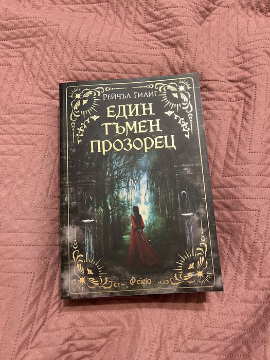 Един тъмен прозорец от Рейчъл Гилиг