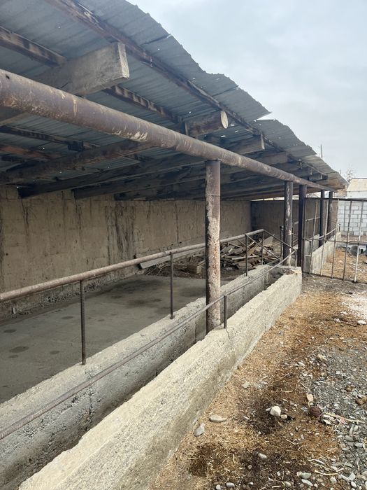 Откорм площадкаға арналған дача