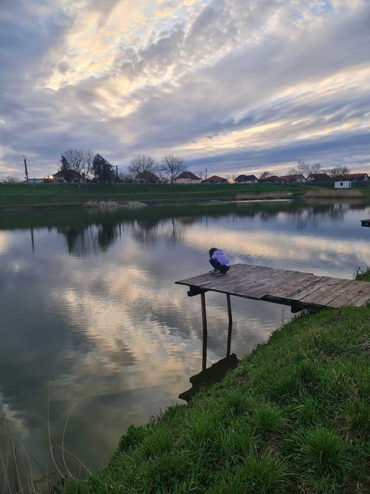 Lac de vânzare – Vetiș, județul Satu Mare