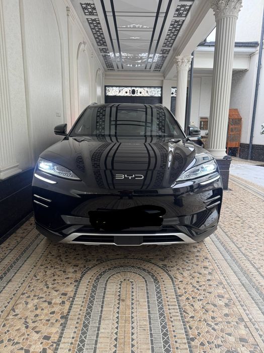 BYD  Chenpiyon 2024,2025 restayling 605.