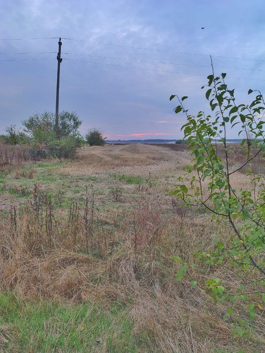 Unic proprietar vând teren intravilan+casă+anexa +teren extravil